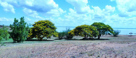 Turismo en Chajari Entre Rios