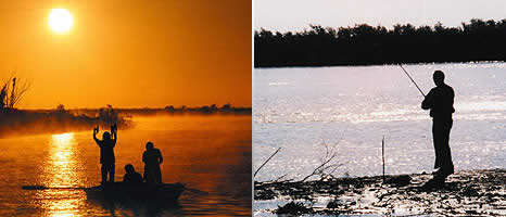 Pesca en Gualeguay Entre Rios