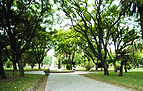 La Ciudad de Gualeguay Entre Rios