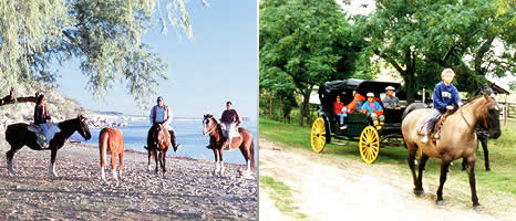 Cabalgatas en Entre Rios