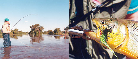 Pesca en Entre Rios