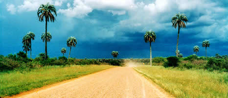 Parque Nacional El Palmar en Entre Rios