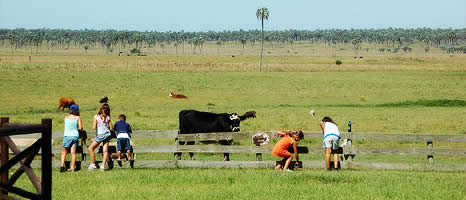 Turismo Rural en Entre Rios