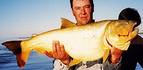 Pesca del Dorado