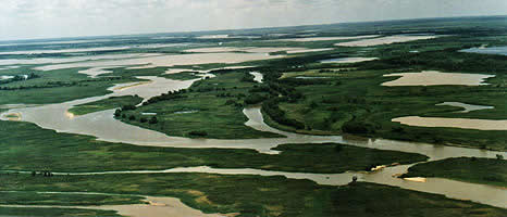 Isla Curuzu Chali en La Paz Entre Rios