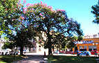 La Ciudad de La Paz Entre Rios