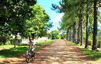 La Ciudad de Liebig Entre Rios