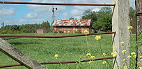 La ciudad de Liebig Entre Rios