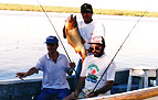 Pesca en Victoria Entre Rios