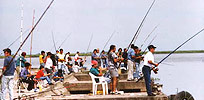 Pesca en Victoria Entre Rios