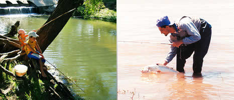 Pesca en Villa Elisa Entre Rios