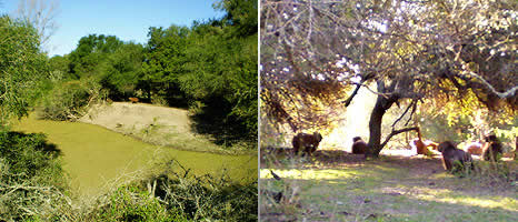 Excursiones en Villaguay Entre Rios